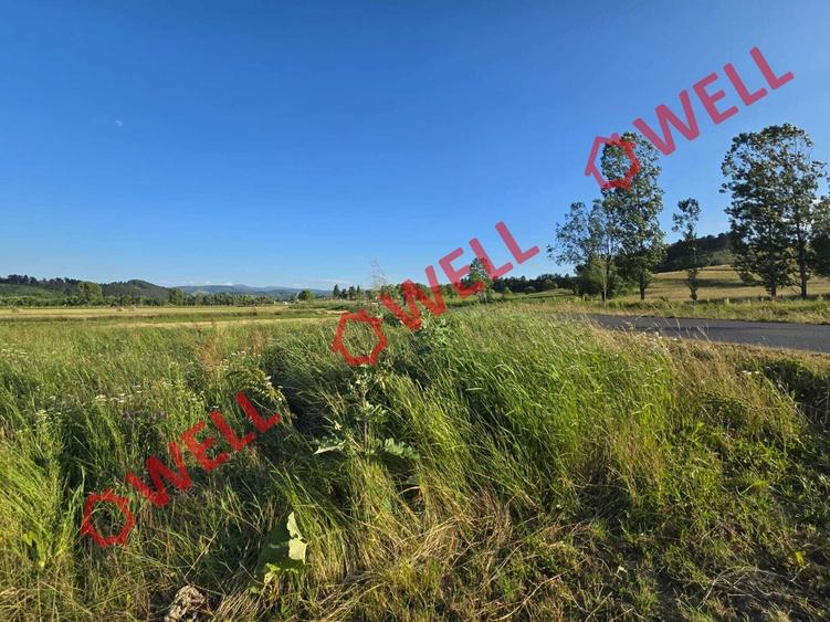 De vânzare teren extravilan loc. Sărămaș - 2