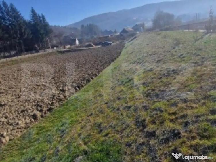 Teren extravilan - Sita Buzaului -6800 mp posibilitate trece - 2