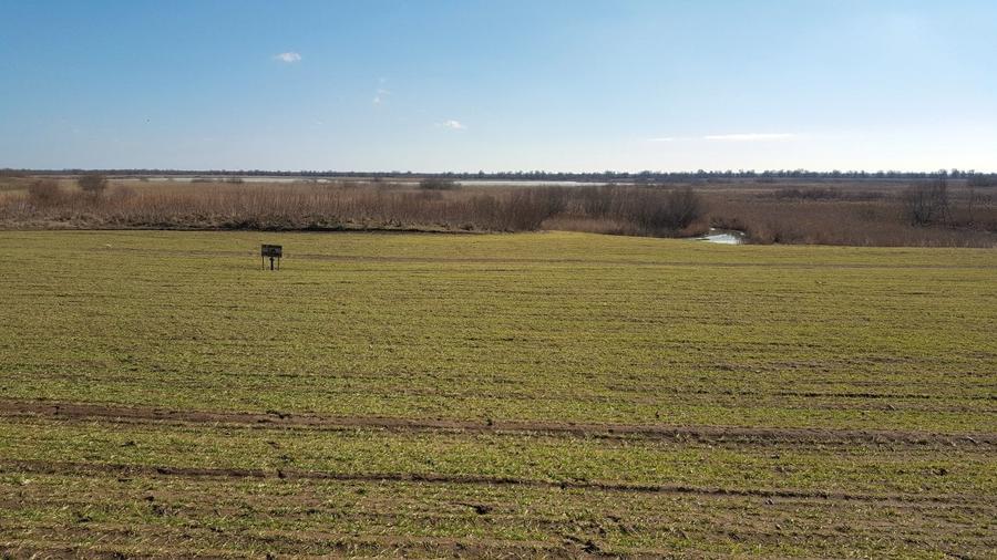 Teren în Deltă–locație excelentă pentru dezvoltare turistică - 7