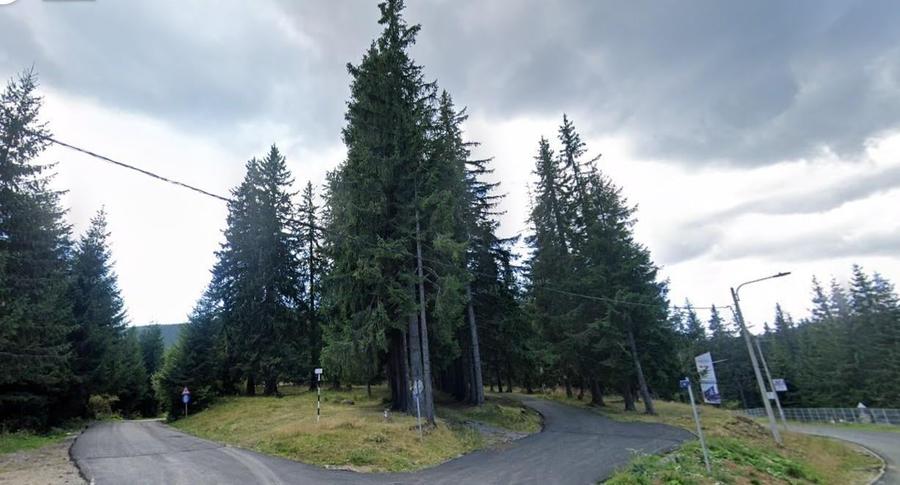 Teren 1400mp intravilan padure in statiunea Paltinis -zona statia Meteorologica - 1