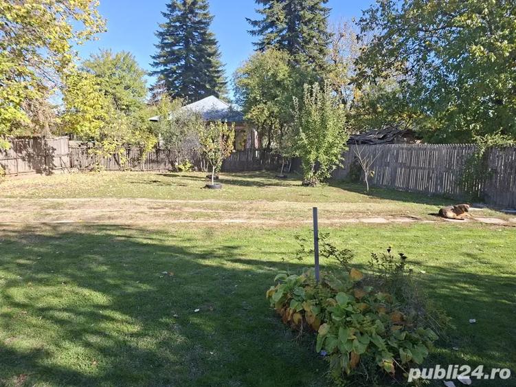 Casa cu teren 3.000 mp vie, livada, utilita?i, acte in regula! - 2