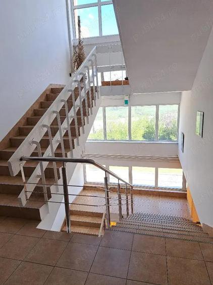 Hale, depozite si birouri - 5