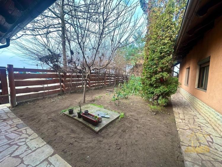 Domeniu - Centru de colectare, 7 ha de vanzare in Valea lui Mihai - 47