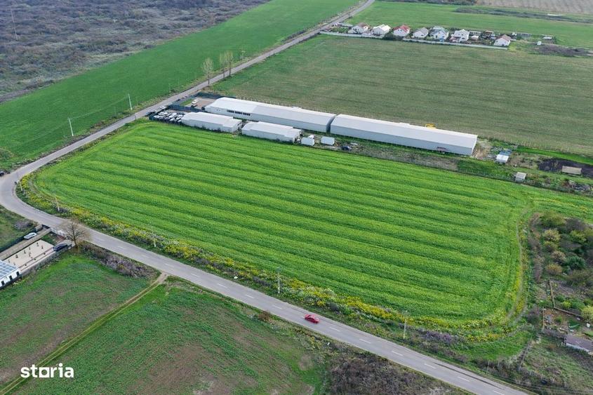 Teren intravilan 7.811 mp | Ciolpani, Ilfov | Acces drum public - 5