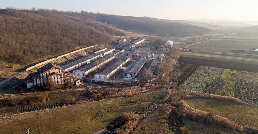 Fosta Ferma a Partidului de la Horgesti - de vanzare - 34