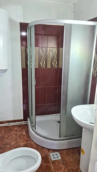 Vand proprietate pe Transapuseana - 7