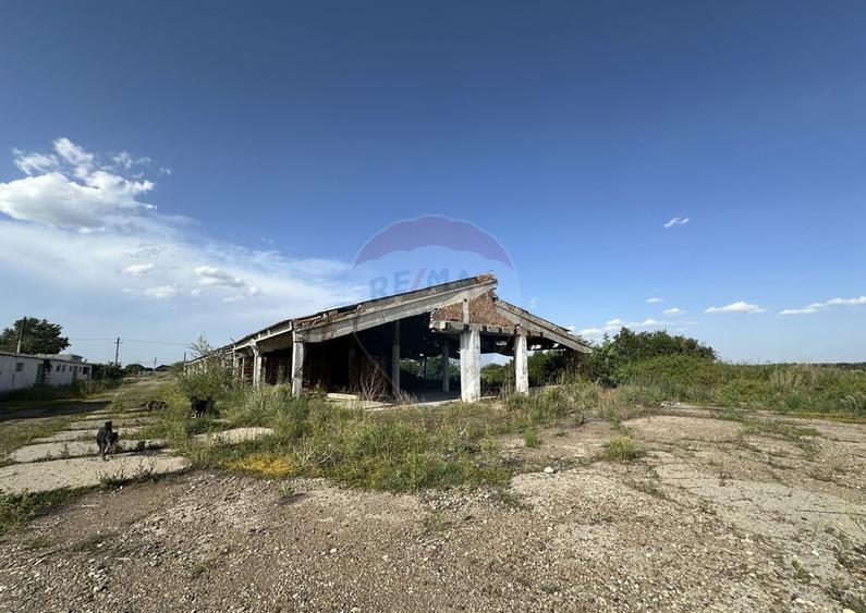 Spa?iu industrial Hale si Fabrica de lemn - 3