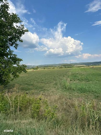 Teren pentru hala, logistica sau parc auto 72 ml la DN, Stuparei-VL - 1