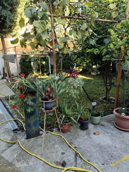 Casa Caransebes 120 mp + anexa 20 mp, teren 324 mp zona lini?tita 130.000 - 1