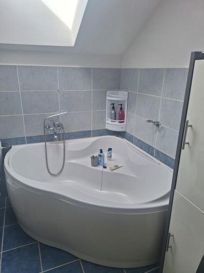 Casa de inchiriat in Sura Mare - 3