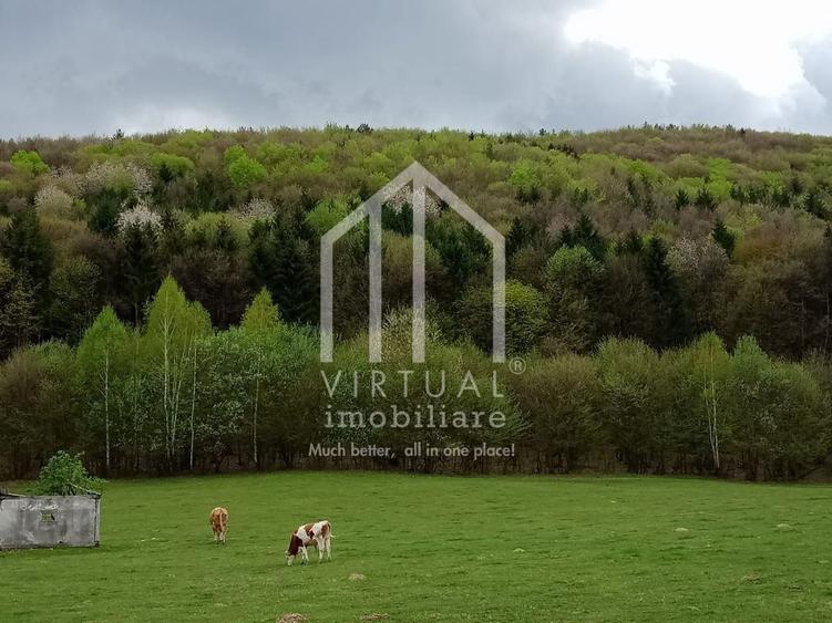 Teren intravilan de vanzare in Tocile, 3862 mp, priveliste spre padure - 6