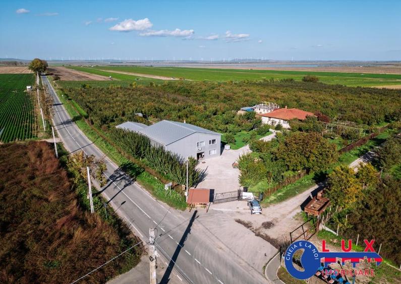 ID 7785 LIVADA SABANGIA DE VANZARE - 17