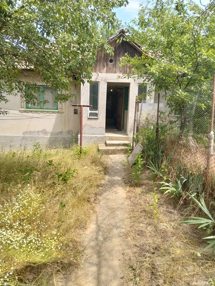 Vand casa - 4