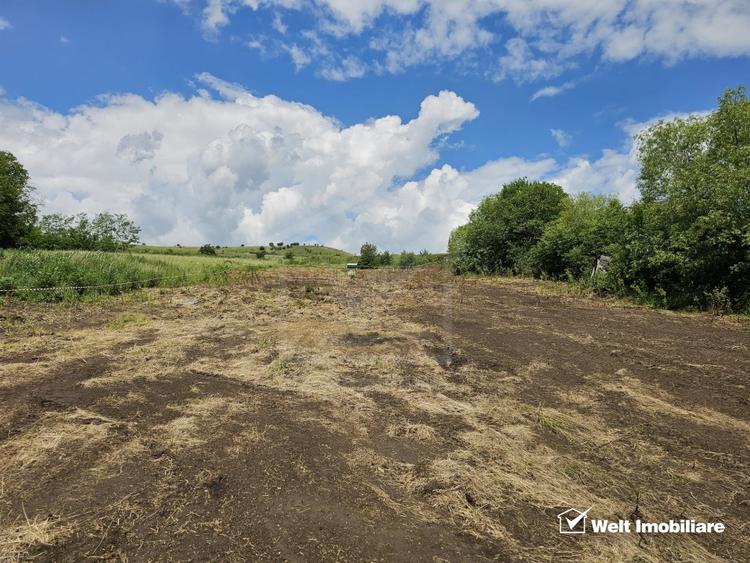 Teren intravilan| front la drum asfaltat| Rediu - 1