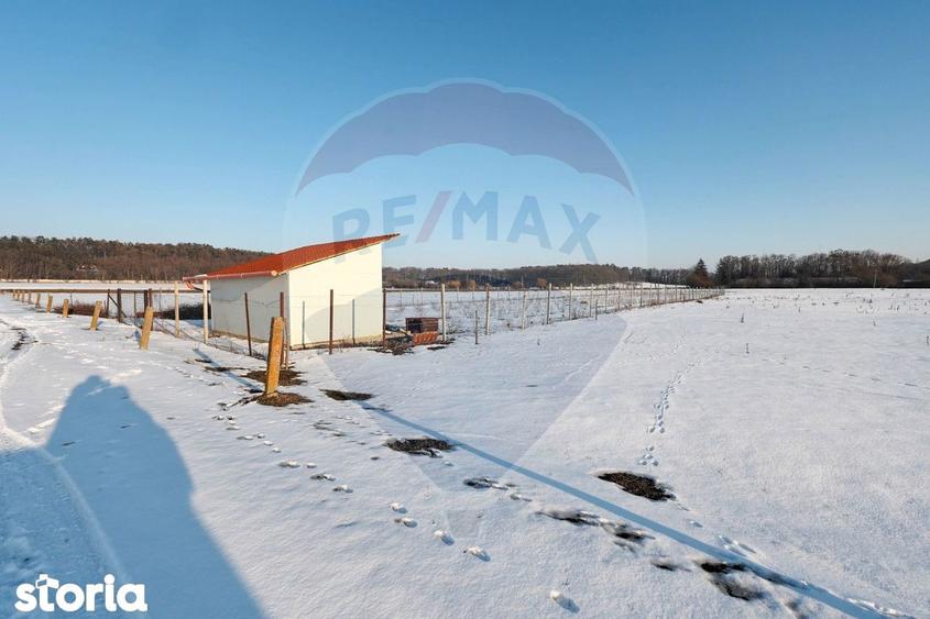 PLANTATIE ARONIA- TEREN AGRICOL - 10