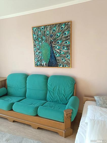 Proptietar inchiriez apartament cu 2 camere Tache Ionescu 450 euro - 6