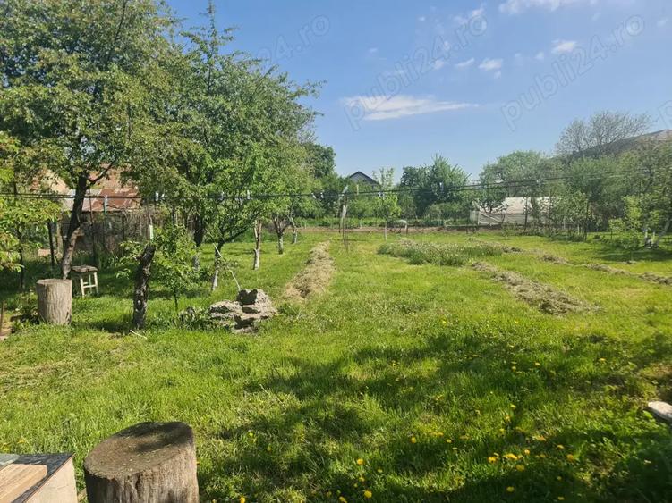 Casa regim Dp+P teren generos 1152 mp Codlea, DN1, 2 garaje, gradina - 6