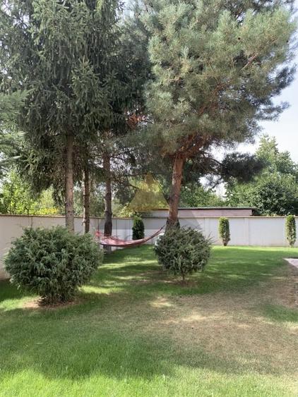 LIZIERA PADURII SAFTICA BALOTESTI CASA SI TEREN INCHIRIERE - 13