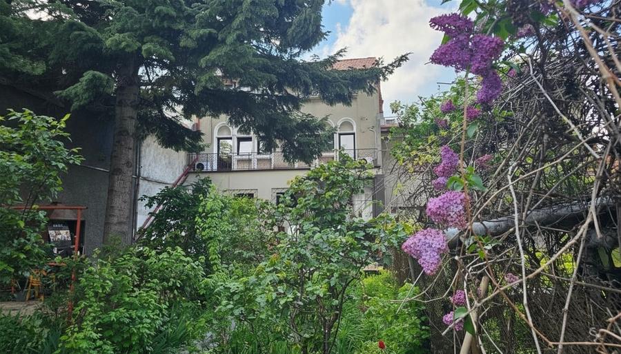 Parter Propriu 82 mp În Vilă renovată complet - Strada Popa Savu, Aviatorilor - 16