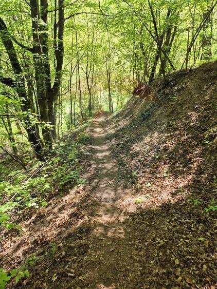 Teren intravilan 1,577mp Brasov / Schei/  constructii fara fundatie! - 9