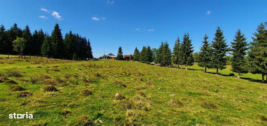 Oportunitare | Teren 1350 mp cu PUZ | Belis - 6