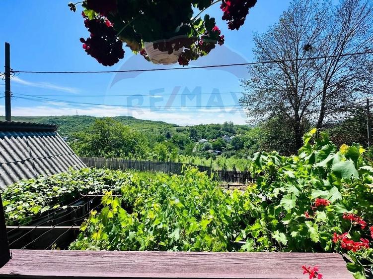 Casa cu Toate Utilitatile,Vedere Panoramica,Livada-Stefanesti, Arges - 12