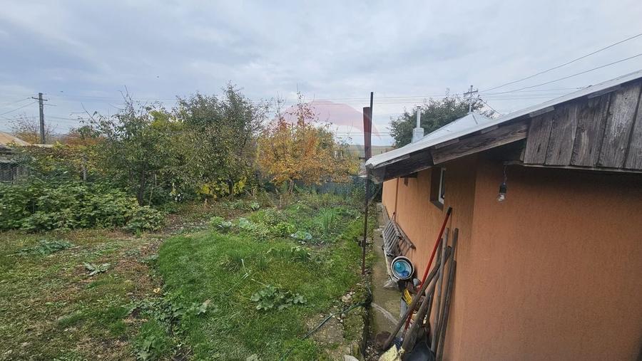 Casuta de la tara - 27