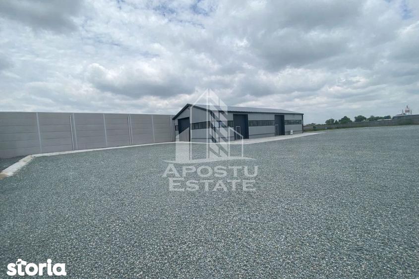 Hala de inchiriat Sacalaz, curte generoasa, show-room, service auto - 2