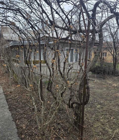 Teren intravilan de vanzare 2700 mp ideal investitie sau constructie - 8