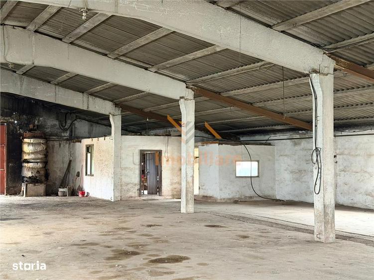 HALE INDUSTRIALE | CLADIRE BIROURI | TEREN 7000 MP | GHEGHIE BIHOR - 5