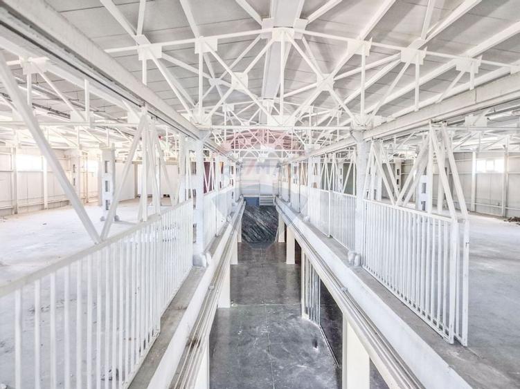 Hala beton P+E 1000 mp comercial, productie, depozitare Pipera Plaza - 8