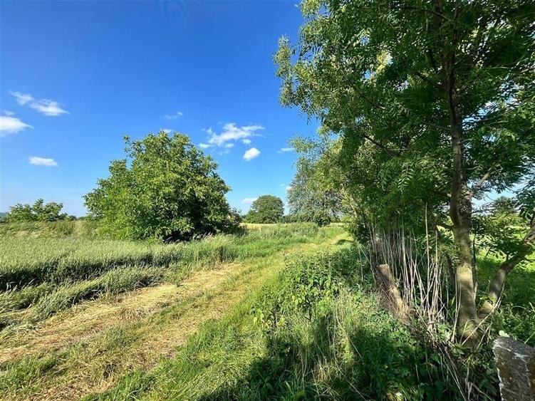 TEREN INTRAVILAN, 1200 mp, HARMAN, COMISION 0% - 4