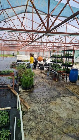 AFACERE LA CHEIE HALA PRODUCTIE + SERA PROFESIONALA - 2