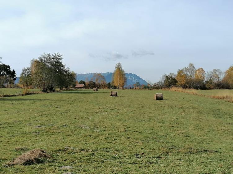 Teren in Sohodol-Bran - 8