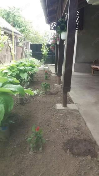 Casa de vanzare, Cetate Dolj , Zona Centrala( langa targ) , La cheie - 6