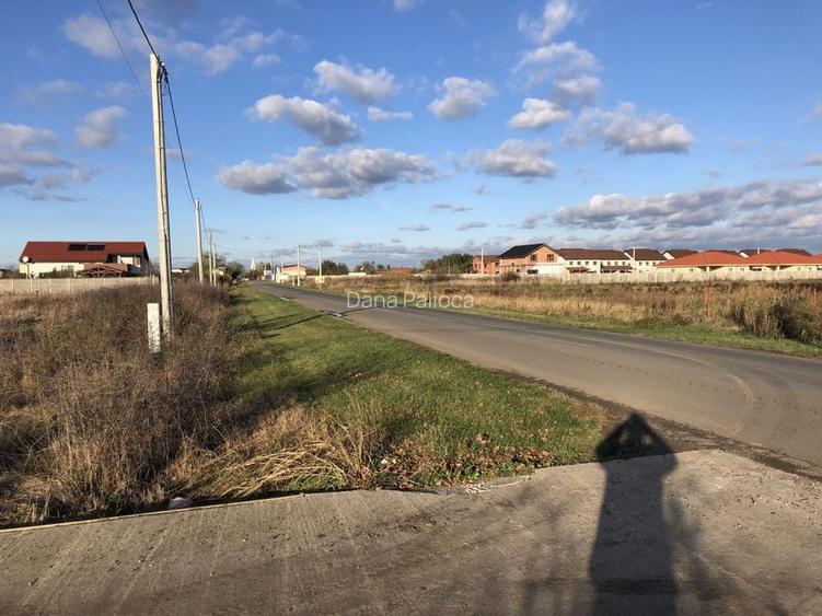 Teren Covaci-770-1540 mp la asfalt