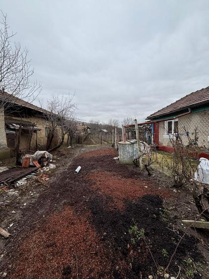 Teren+casa batraneasca+ teren agricol - 3