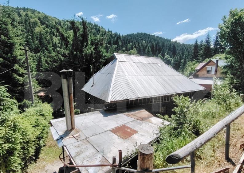 Cabana 5 camere Salard - 15