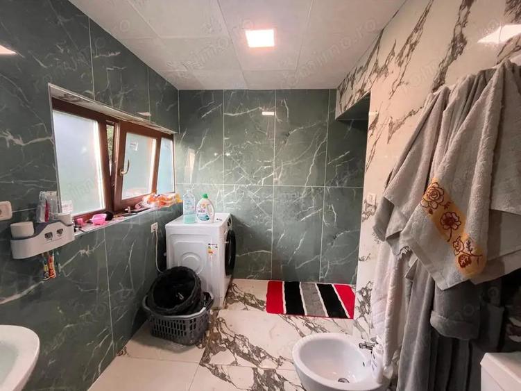 Sacu, Casa 426 Mp. Construiti, 6.500 Mp. Teren - 11