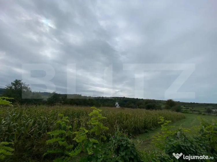 Teren intravilan de vanzare, 2.691 mp Mari?elu, jude? - 3