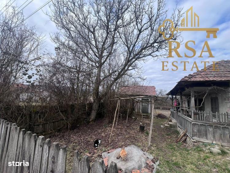 Vanzare teren 2100 mp, Mihaesti Barsesti, ideal casa sau investiti - 5