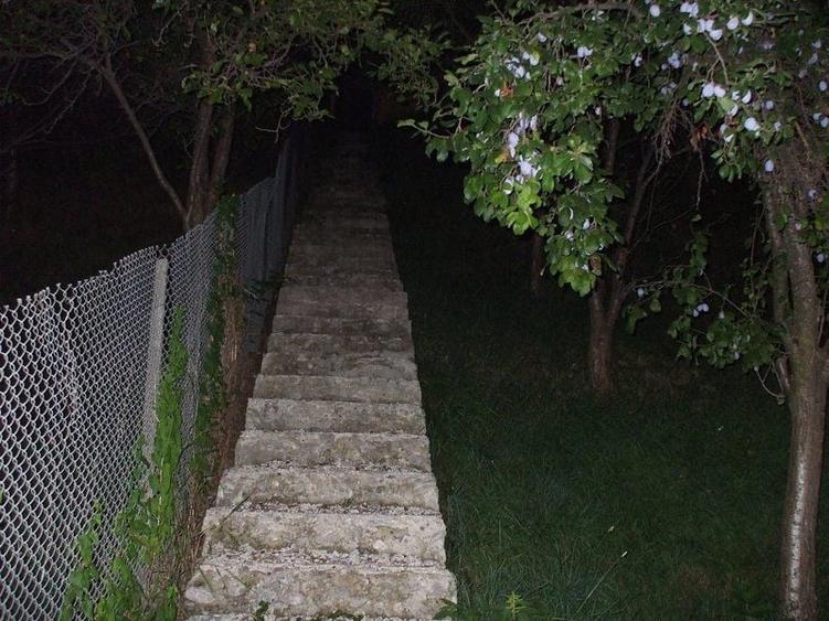 Casa de vanzare Albestii-Arges - 31