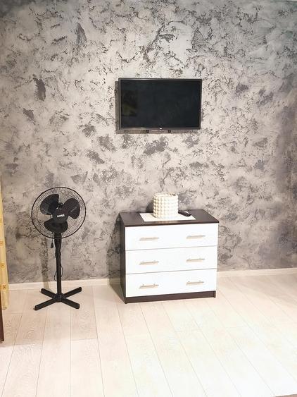 Garsoniera mare cu curte - 4