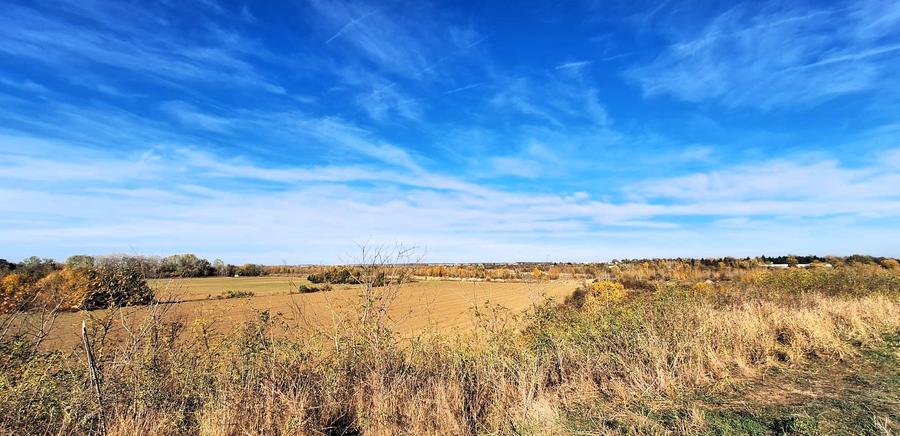 Proprietate deosebita Adunatii Copaceni, teren: 54.141 mp, conac, comision 0% - 6