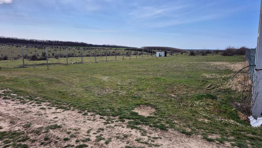 Vand teren intravilan 888m2 in Chisirid, com.Nojorid - 4