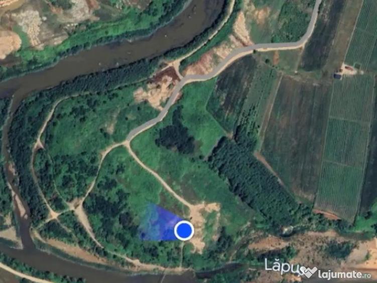 Teren extravilan Bu?ag 82 ari, plan drept, langa Lapu?, - 4