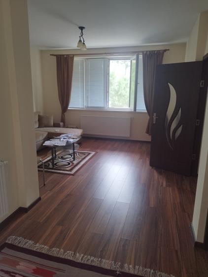 Vand casa cu 5 camere in Platoul Cornesti - 2