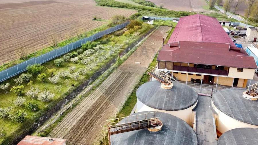 Crama Buciumeni - 10