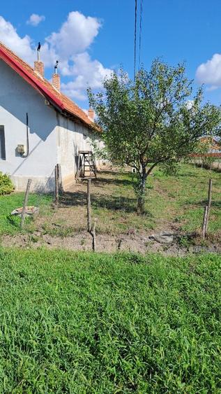 Vand casa cu gradina mare in Bethausen - 7