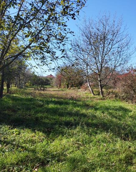 Somcuta Mare, casa D+P+1, 22 ari teren - 9